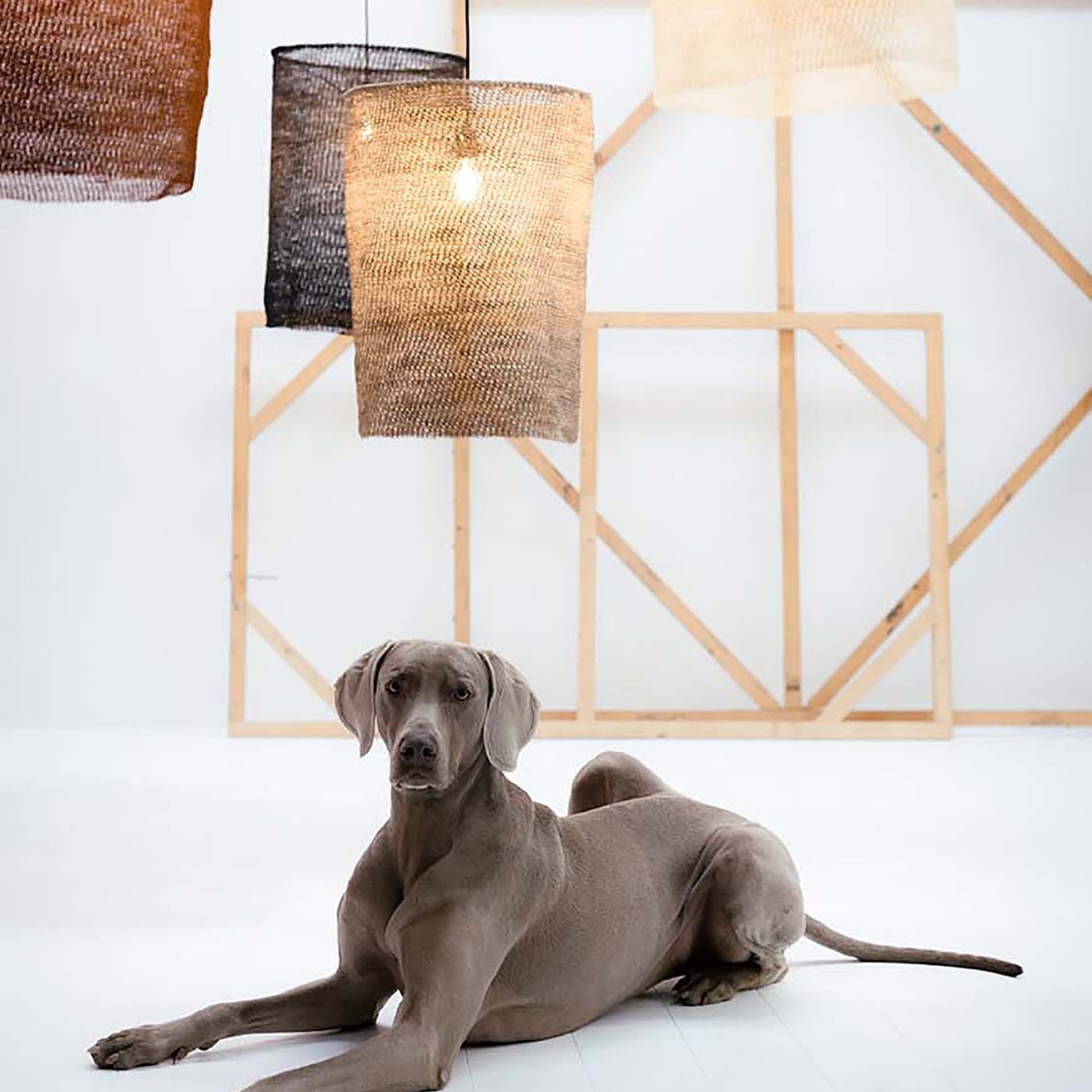 LÁMPARA COLGANTE NUS