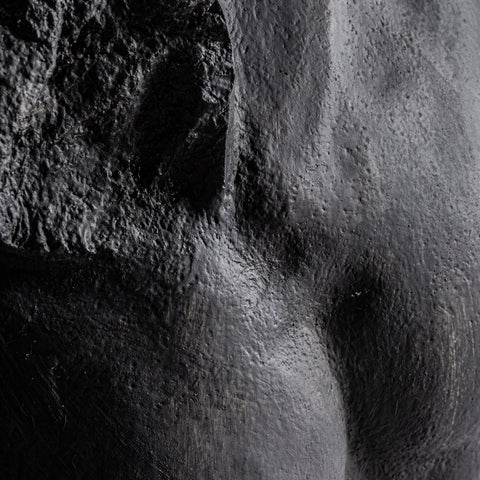 BUSTO ZEUS