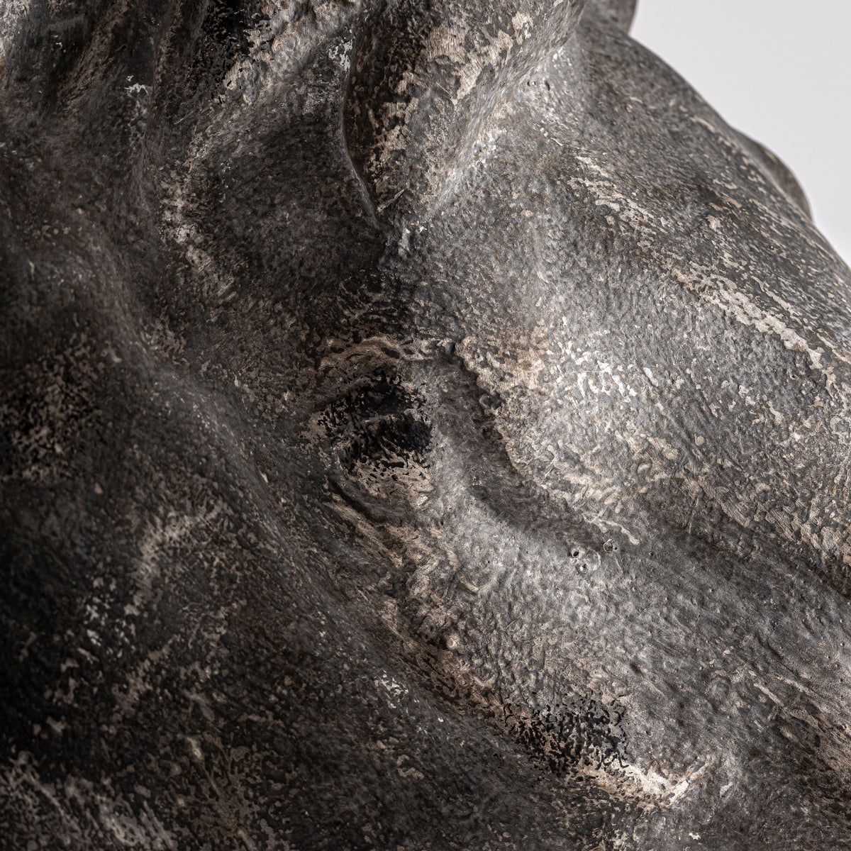BUSTO HORSE