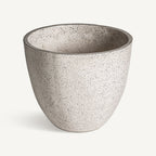 Ánfora Albenga — Piedra gris