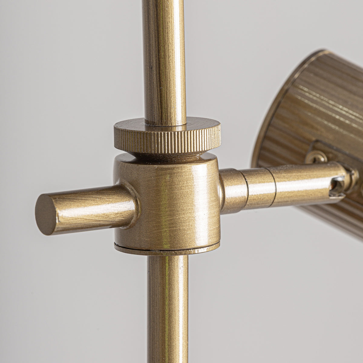 Aplique Nut — Bronce dorado
