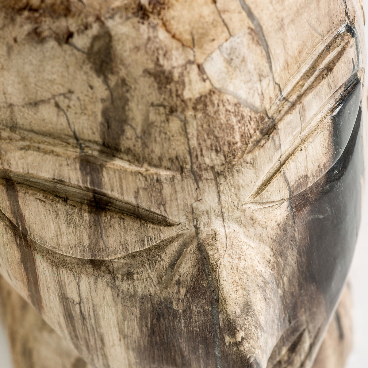 Busto Belle — Madera petrificada marrón envejecido