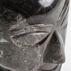 Busto Belle — Madera petrificada marrón envejecido