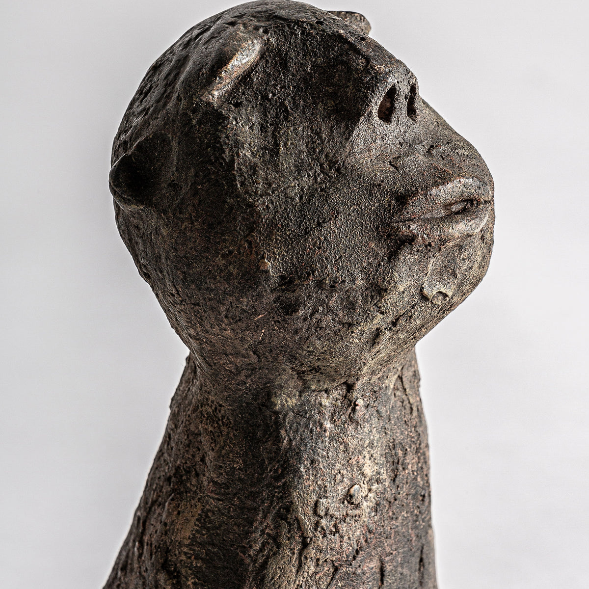 Busto Blasse — Resina marrón envejecido