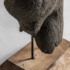 Busto Man — Terracota gris envejecido