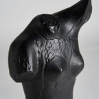 Busto Messier — Aluminio negro