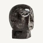 Busto Robin — Madera petrificada marrón envejecido