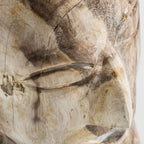 Busto Robin — Madera petrificada marrón envejecido