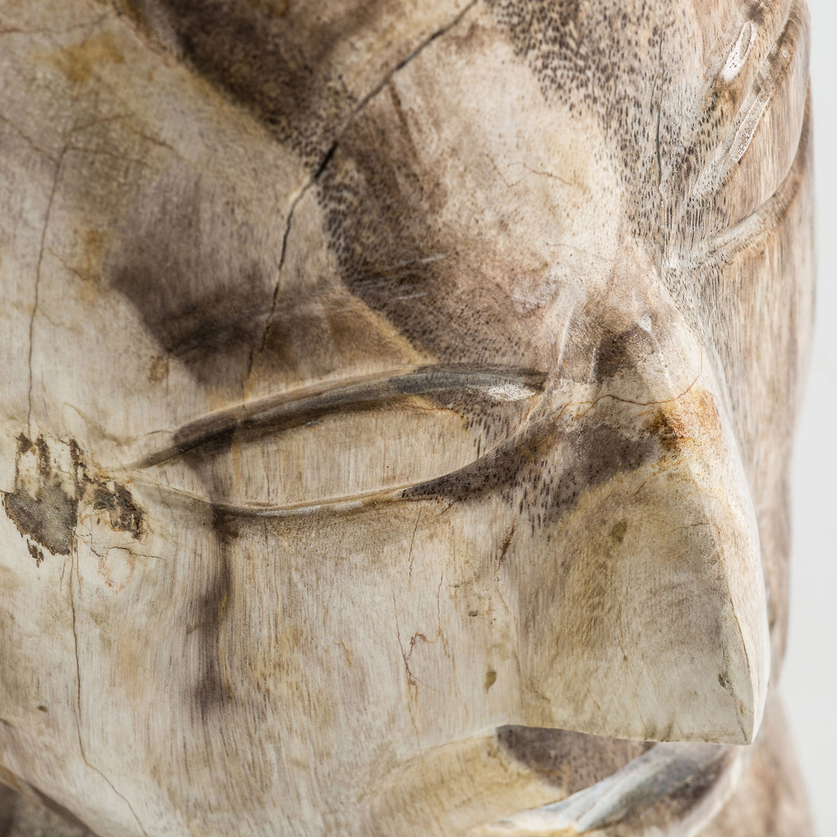 Busto Robin — Madera petrificada marrón envejecido