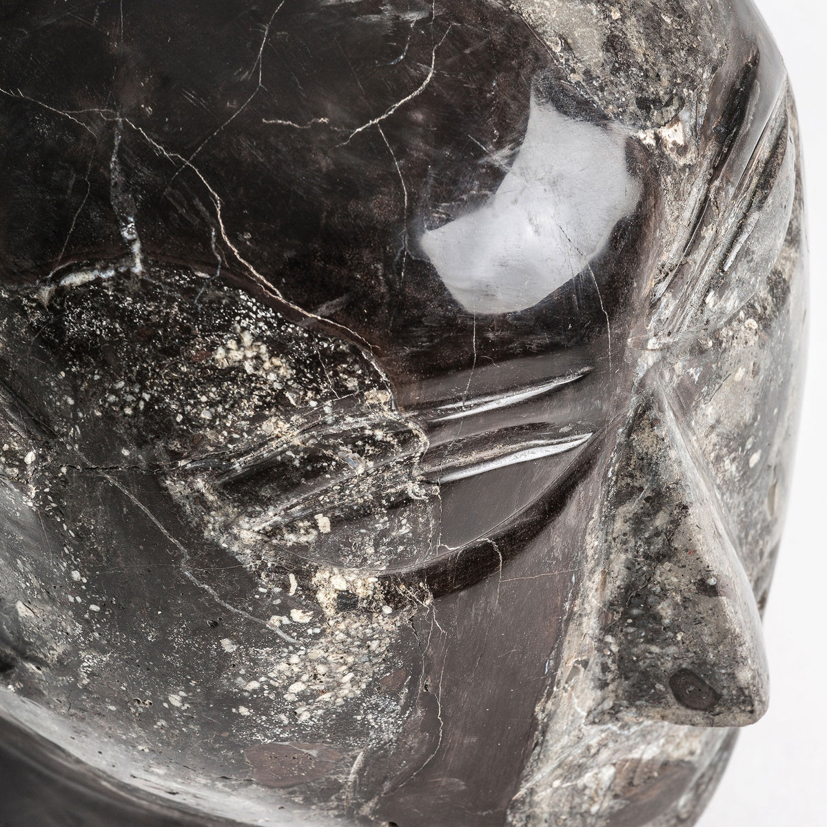 Busto Robin — Madera petrificada marrón envejecido