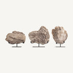 Figura decorativa Aurea — Madera petrificada gris