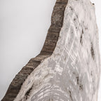 Figura decorativa Aurea — Madera petrificada gris