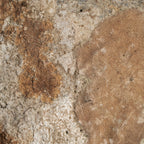 Figura decorativa Chedma — Concha tonos neutros
