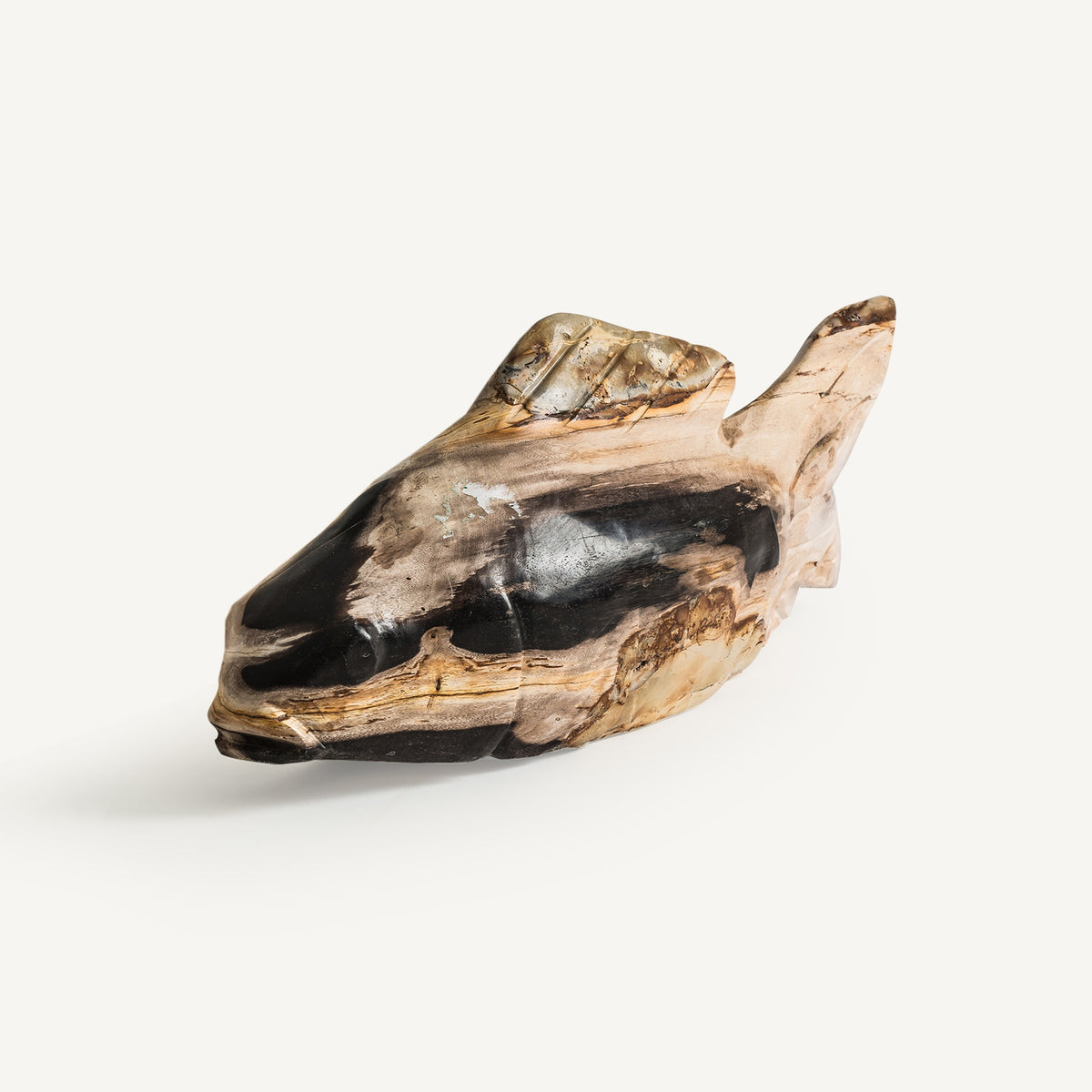 Figura decorativa Pez — Madera petrificada tonos en marrón envejecido