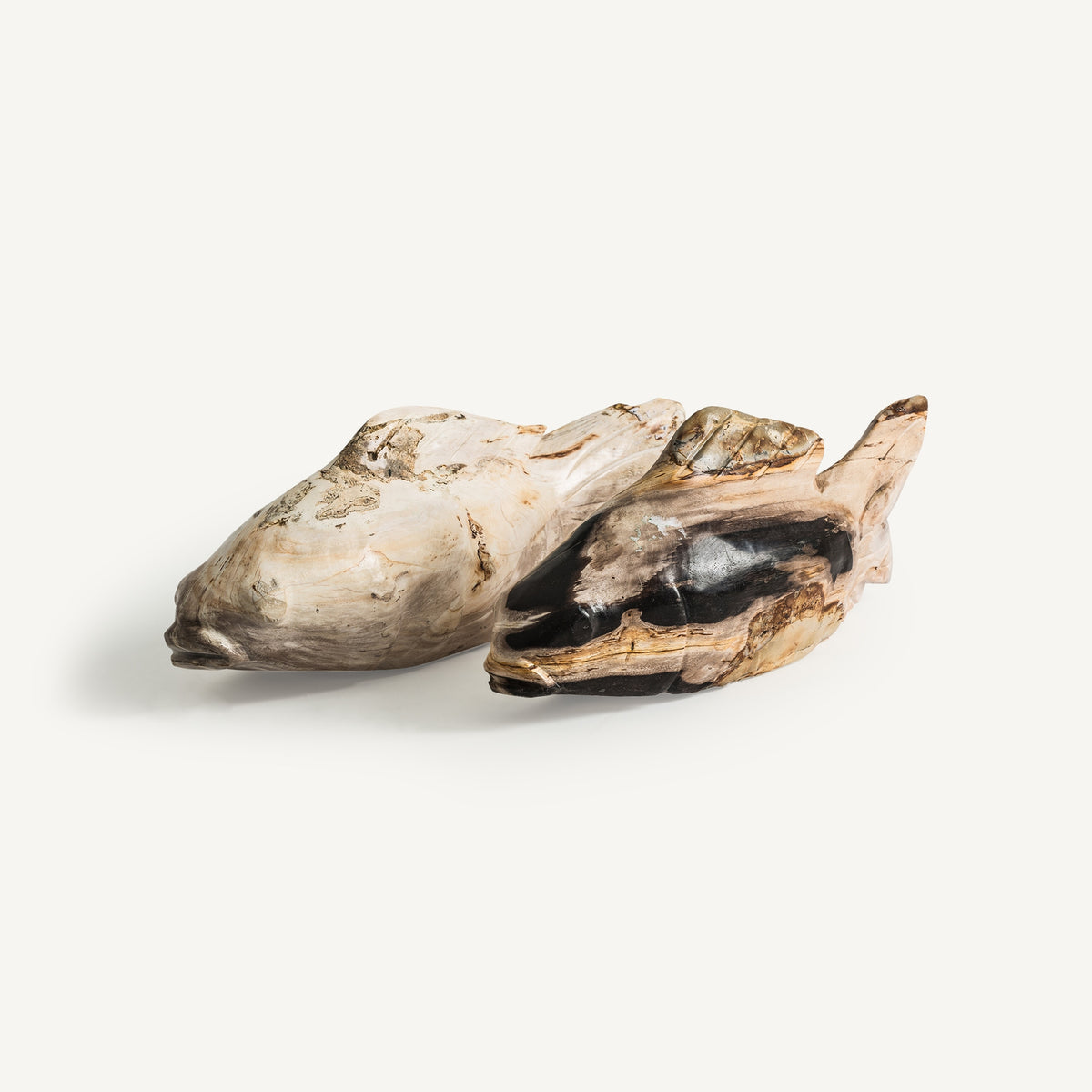 Figura decorativa Pez — Madera petrificada tonos en marrón envejecido