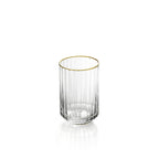 Vaso Golden Sip Tumbler