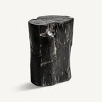 Mesa auxiliar Telti — Madera petrificada marrón envejecido